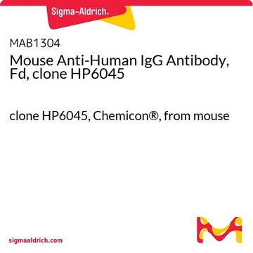 Mouse Anti-Human IgG Antibody, Fd, clone HP6045 clone HP6045, Chemicon&#174;, from mouse