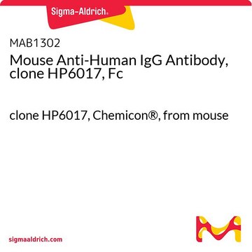 Mouse Anti-Human IgG Antibody, clone HP6017, Fc clone HP6017, Chemicon&#174;, from mouse