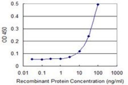Monoclonal Anti-FANCF, (N-terminal) antibody produced in mouse clone 3C4, purified immunoglobulin, buffered aqueous solution