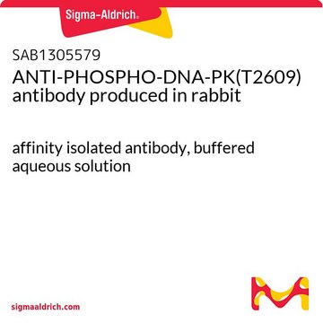 ANTI-PHOSPHO-DNA-PK(T2609) antibody produced in rabbit affinity isolated antibody, buffered aqueous solution