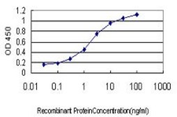 Monoclonal Anti-UBE2E2 antibody produced in mouse clone 4B4, purified immunoglobulin, buffered aqueous solution