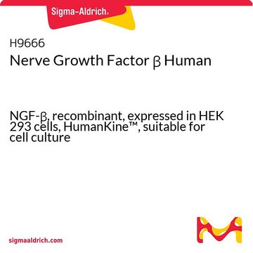 Nerve Growth Factor &#946; Human NGF-&#946;, recombinant, expressed in HEK 293 cells, HumanKine&#8482;, suitable for cell culture