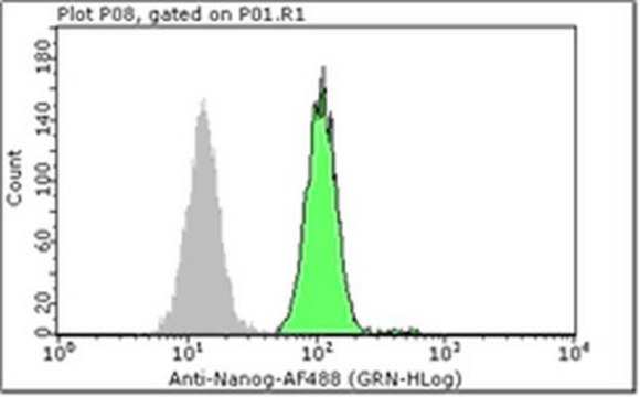 Milli-Mark&#174; Anti-Nanog-Alexa Fluor 488 Antibody, NT Milli-Mark&#174;, from rabbit