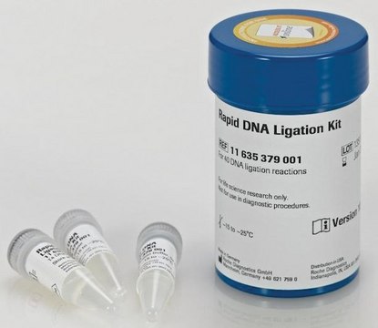 Rapid DNA Ligation Kit