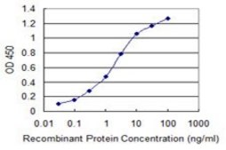 Monoclonal Anti-SIX4 antibody produced in mouse clone 7F1, purified immunoglobulin, buffered aqueous solution