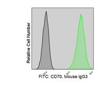 Anti-Human CD70 (Ki-24) ColorWheel® Dye-Ready mAb