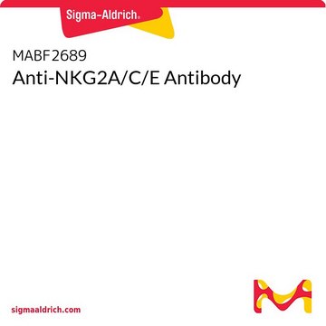 Anti-NKG2A/C/E Antibody