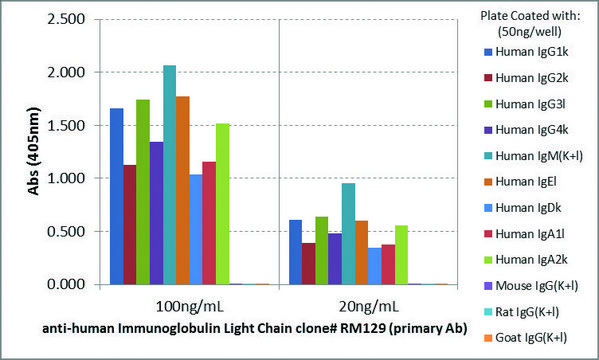 Anti-Human Ig Light Chains-Biotin antibody, Rabbit monoclonal recombinant, expressed in HEK 293 cells, clone RM129, purified immunoglobulin