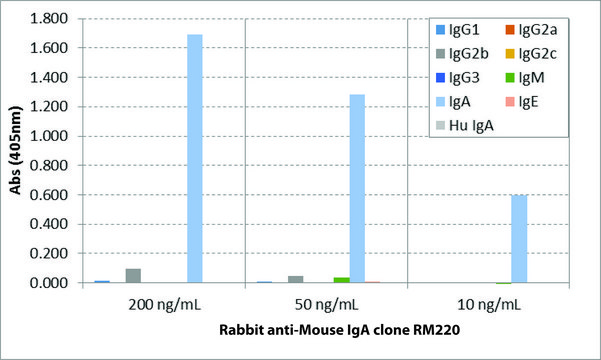 Anti-Mouse IgA-Biotin antibody, Rabbit monoclonal recombinant, expressed in HEK 293 cells, clone RM220, purified immunoglobulin