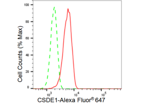 KD-Validated Anti CSDE1 Antibody, clone 23GB3505, Rabbit Monoclonal clone 23GB3505, recombinant rabbit monoclonal, expressed in HEK293 cells
