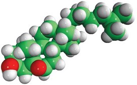 5β,6β-epoxycholestanol Avanti Research™ - A Croda Brand
