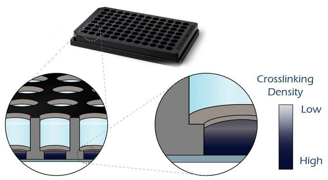 TrueGel3D&#174; HTS Hydrogel Plate