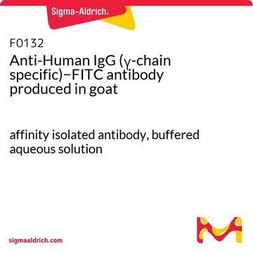 Anti-Human IgG (&#947;-chain specific)&#8722;FITC antibody produced in goat affinity isolated antibody, buffered aqueous solution