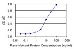 Monoclonal Anti-HOXD4, (N-terminal) antibody produced in mouse clone 1H7, purified immunoglobulin, buffered aqueous solution