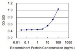Monoclonal Anti-RIN2, (C-terminal) antibody produced in mouse clone 1E6, purified immunoglobulin, buffered aqueous solution