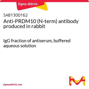 Anti-PRDM10 (N-term) antibody produced in rabbit IgG fraction of antiserum, buffered aqueous solution