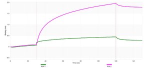 Anti-STING1 Antibody, clone 2G7 ZooMAb® Rabbit Monoclonal recombinant, expressed in HEK 293 cells