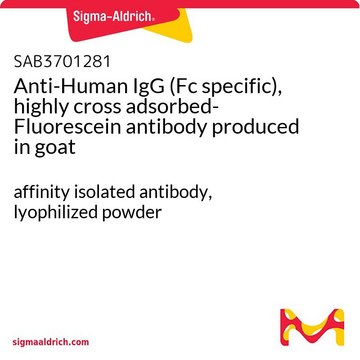 Anti-Human IgG (Fc specific), highly cross adsorbed-Fluorescein antibody produced in goat affinity isolated antibody, lyophilized powder