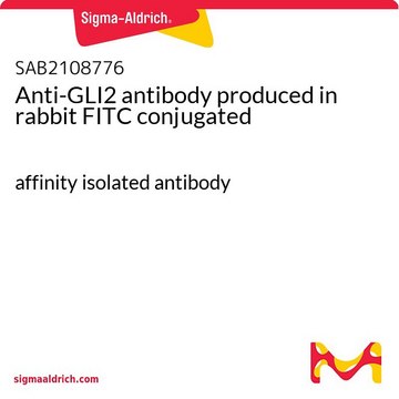 Anti-GLI2 antibody produced in rabbit FITC conjugated affinity isolated antibody