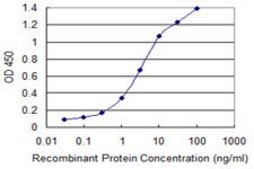 Monoclonal Anti-ISL2 antibody produced in mouse clone 1D9, purified immunoglobulin, buffered aqueous solution