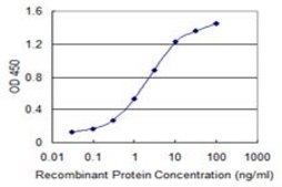 Monoclonal Anti-ILKAP, (C-terminal) antibody produced in mouse clone 3B5, purified immunoglobulin, buffered aqueous solution