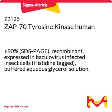 ZAP-70 Tyrosine Kinase human &#8805;90% (SDS-PAGE), recombinant, expressed in baculovirus infected insect cells (Histidine tagged), buffered aqueous glycerol solution, &#8805;150&#160;U/mg