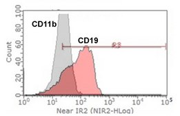 721.221 Human HLA Negative B-Lymphoblastoid Cell Line