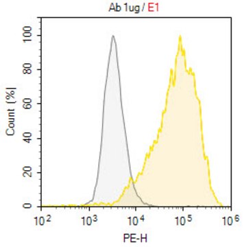 Anti-CD271/p75NTR Antibody, clone G4B1