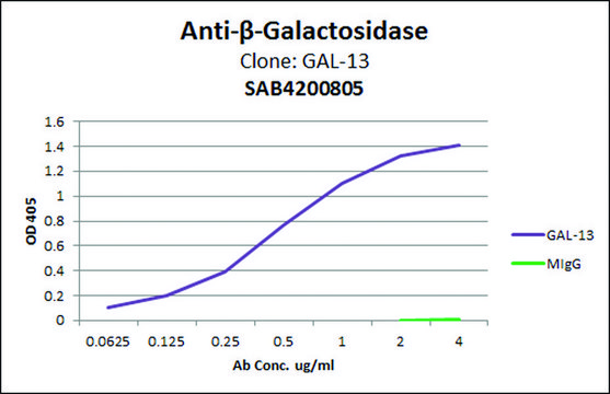 Anti-&#946;-Galactosidase antibody, Mouse monoclonal clone GAL-13, purified from hybridoma cell culture