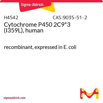 细胞色素 P450，纯化的，可溶的 recombinant, expressed in E. coli