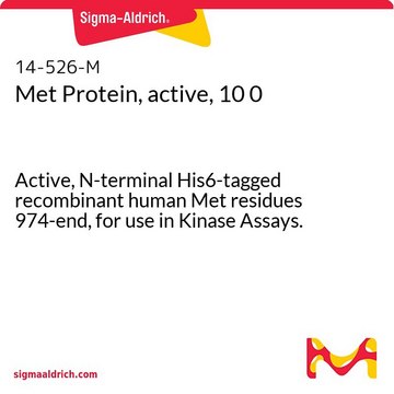 Met Protein, active, 10 0 Active, N-terminal His6-tagged recombinant human Met residues 974-end, for use in Kinase Assays.