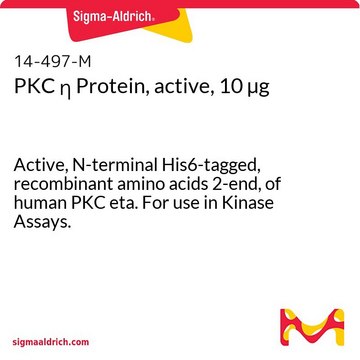 PKC &#951; Protein, active, 10 &#181;g Active, N-terminal His6-tagged, recombinant amino acids 2-end, of human PKC eta. For use in Kinase Assays.