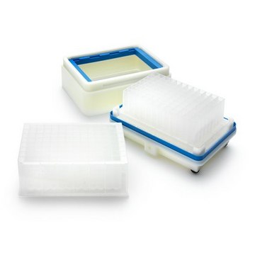 96-well Collection Plate Opaque, Non-Sterile, High Volume, 2mL, Polypropylene, 25 plates