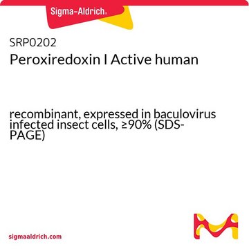 Peroxiredoxin I Active human recombinant, expressed in baculovirus infected insect cells, &#8805;90% (SDS-PAGE)