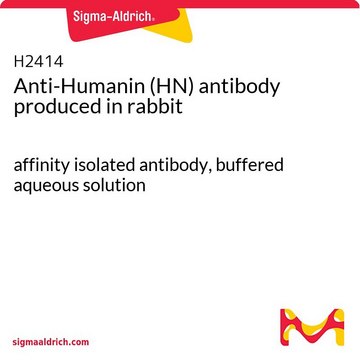 抗-Humanin（HN） 兔抗 affinity isolated antibody, buffered aqueous solution