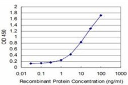 ANTI-HD antibody produced in mouse clone 1H6, purified immunoglobulin, buffered aqueous solution
