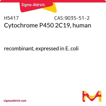 细胞色素 P450，纯化的，可溶的 recombinant, expressed in E. coli