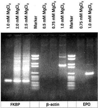 PCR 缓冲液不含 MgCl2，10x 浓缩 solution, pkg of 3 × 1&#160;mL