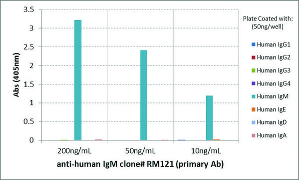 Anti-Human IgM-Biotin antibody, Rabbit monoclonal recombinant, expressed in HEK 293 cells, clone RM121, purified immunoglobulin