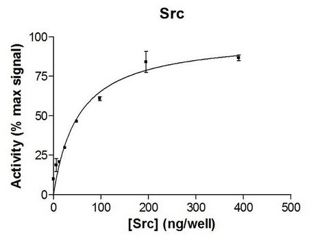 Src Protein, 10 &#181;g Full length, recombinant human Src. N-terminal c-Myc, 6His-tagged. For use in Enzyme Assays. Functions as a substrate in ubiquitination assays.