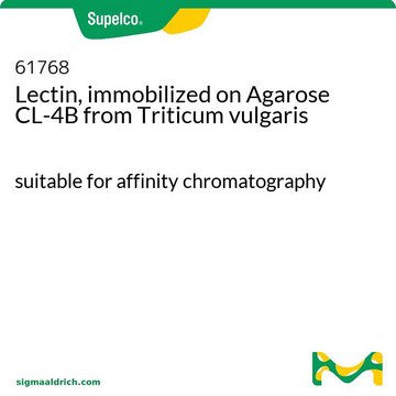 凝集素&#65292;固定在琼脂糖 CL-4B 上 来源于栽培小麦 suitable for affinity chromatography