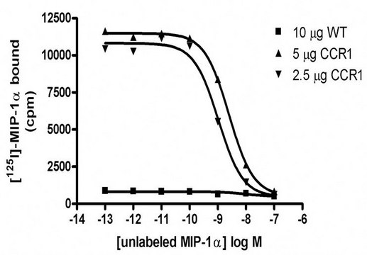 ChemiSCREEN CCR1 Membrane Preparation Human CCR1 GPCR membrane preparation for Radioligand binding Assays.