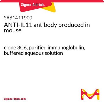 抗 IL11 小鼠抗 clone 3C6, purified immunoglobulin, buffered aqueous solution