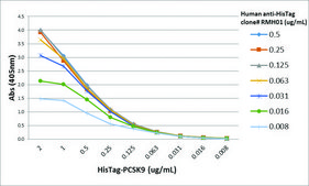 Anti-His-Tag Chimeric antibody, Human Monoclonal recombinant, expressed in HEK 293 cells, clone RMH01, purified immunoglobulin