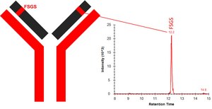 SILu™MAb Pembrolizumab Stable-Isotope Labeled Monoclonal Antibody recombinant, expressed in CHO cells