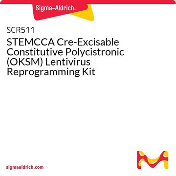 STEMCCA Cre-Excisable Constitutive Polycistronic (OKSM) Lentivirus Reprogramming Kit