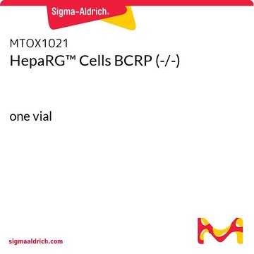 HepaRG&#8482; Cells BCRP (-/-) one vial