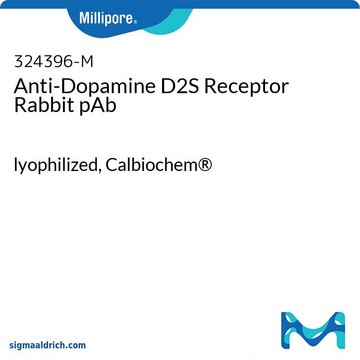 Anti-Dopamine D2S Receptor Rabbit pAb lyophilized, Calbiochem&#174;