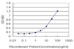 Monoclonal Anti-GOLGA1 antibody produced in mouse clone 6G3, purified immunoglobulin, buffered aqueous solution