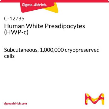 Human White Preadipocytes (HWP-c) Subcutaneous, 1,000,000 cryopreserved cells